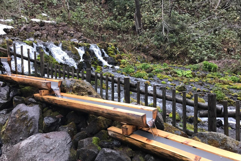 Sapporo 1-Day Tour with Toyako Lake Hot Spring Pick-up at Sapporo Station North Exit