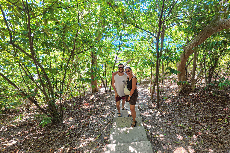 Koh Tao: Snorkel with Turtles at Nangyuan with Fewer Crowds
