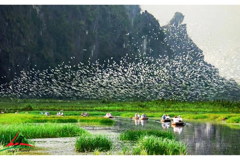 From Hanoi: Private Tour Ninh Binh Hoa Lu Trang An Mua Cave Private Tour Guide, Private Transfer and Flexible Time