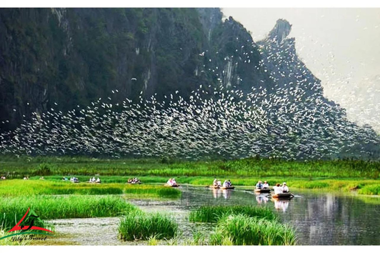 From Hanoi: Private Tour Ninh Binh Hoa Lu Trang An Mua Cave Private Tour Guide, Private Transfer and Flexible Time