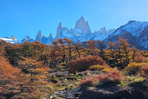 From El Chaltén/Calafate: Laguna de los Tres Guided Trek From El Chaltén: Laguna de los Tres Trek W/ Local Guide