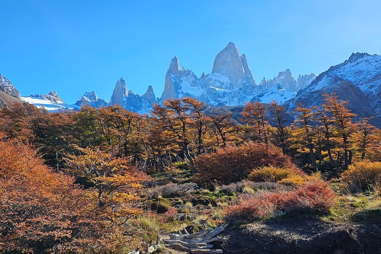 From El Chaltén/Calafate: Laguna de los Tres Guided Trek From El Chaltén: Laguna de los Tres Trek W/ Local Guide