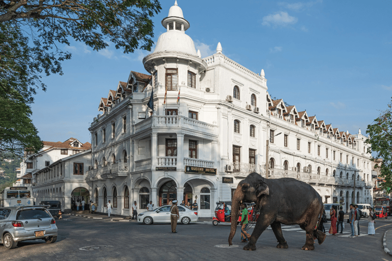 Sigiriya to Ella Scenic Train Transfer with Kandy Sightseein