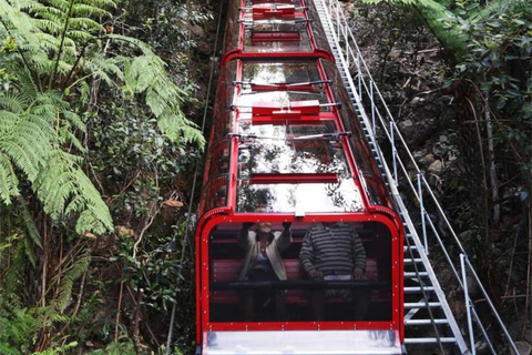 Blue Mountains Tour, Katoomba Falls & Cockatoos Small Group Blue Mountains ：Small Group + Cockatoos & Katoomba Falls&Ja