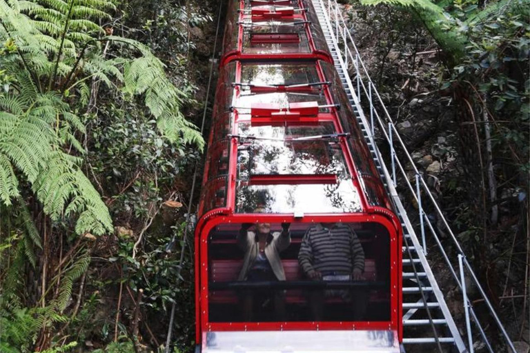 Blue Mountains Tour, Katoomba Falls & Cockatoos Small Group Blue Mountains ：Small Group + Cockatoos & Katoomba Falls&Ja