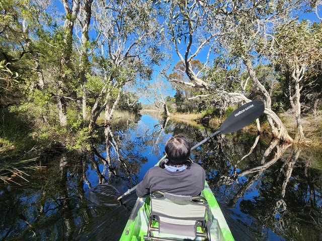 Bribie Island: 4WD Beach, Lagoon Kayaking & WWII Bunker Tour