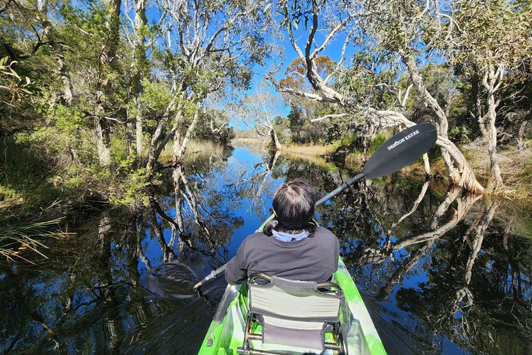 Bribie Island: 4WD, Kayak, and WWII Bunker TourÎle Bribie : 4x4, kayak et visite d&#039;un bunker de la Seconde Guerre mondiale