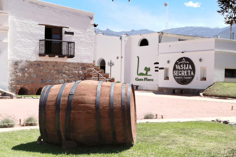 Full-day tour to Cafayate, Winery Visit and Wine Tasting