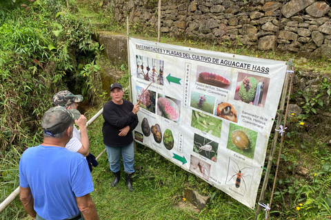 Guatapé Private Tour with Optional Activities Guatapé & ATV ride 45 mins