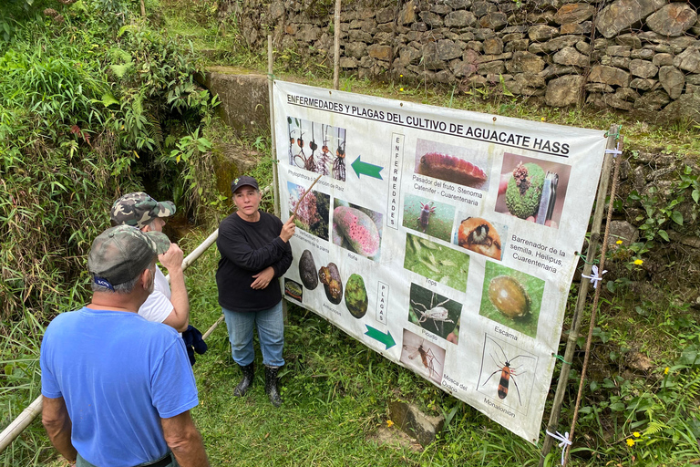 Guatapé Private Tour with Optional Activities Guatapé & ATV ride 45 mins