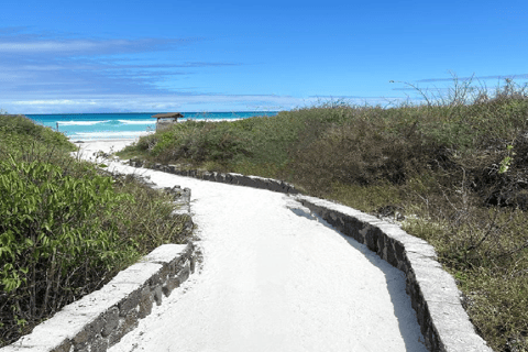 Santa Cruz: Tortuga Bay Guided Tour