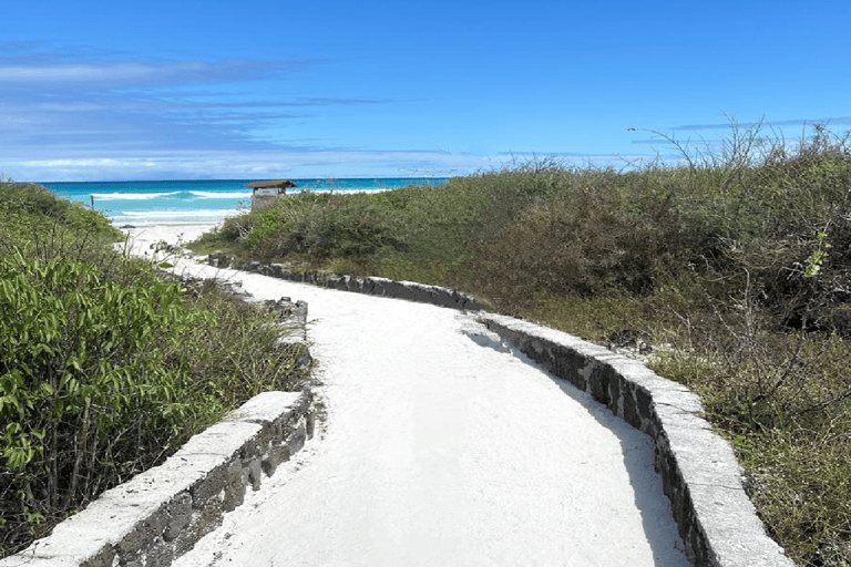 Santa Cruz: Tortuga Bay Guided Tour