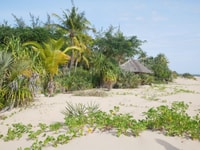 Частный Dhow Criise Lamu (Daytrip), Kipungunga Beach/Kizingo - Housity
