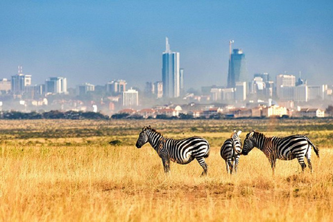 Game Drive w Parku Narodowym Nairobi