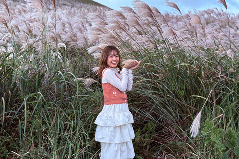 Jeju Trendy Café Tour and When Life Gives You Tangerines