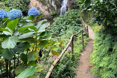 Découvrez et randonnez à São Miguel avec Rúben