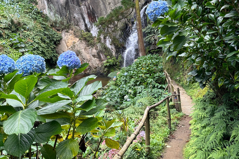 Découvrez et randonnez à São Miguel avec Rúben