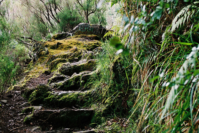 Rabacal Nature Walk: Lakes & Fountains Pickup Funchal, Calheta, Ribeira Brava