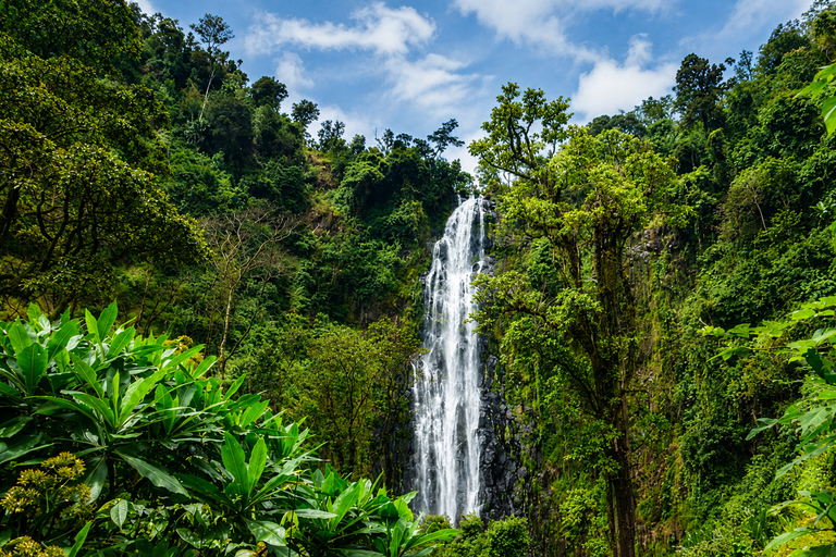 From Moshi: Maasai Village, Materuni Waterfall & Coffee Tour
