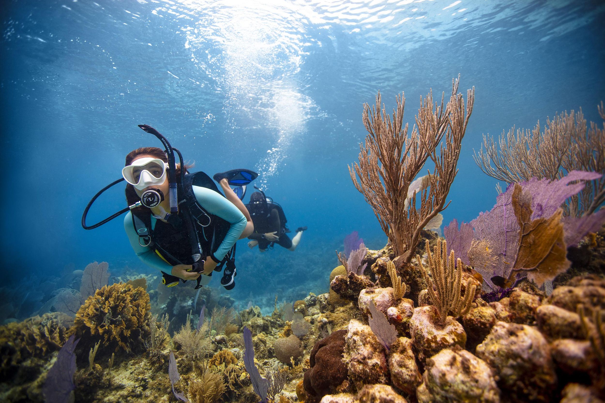 Key Largo: Tauche am Molasses Reef – Rifftauchgang mit zwei Flaschen