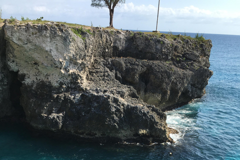 Desde Montego: Blue Hole Mineral Spring y Excursión al Café de Rick