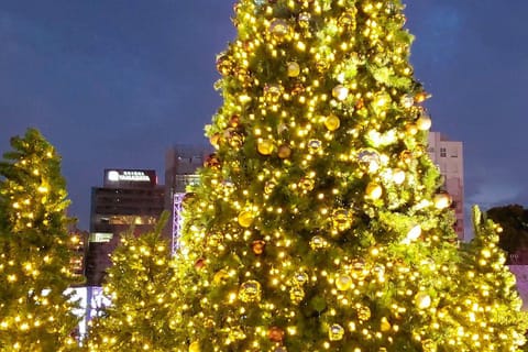 Fukuoka: Hakata & Tenjin Christmas Markets Walking Tour
