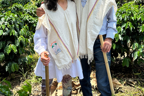 Coffee and Exotic Fruit Tour from Medellín with Lunch Coffee and Exotic Fruit Tour from Medellín with Lunch.