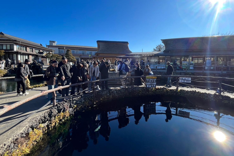 Tokyo: Mt Fuji, Lake Cruise and Noodles Making Experience Spectacular Fuji: Nature & Local Flavors