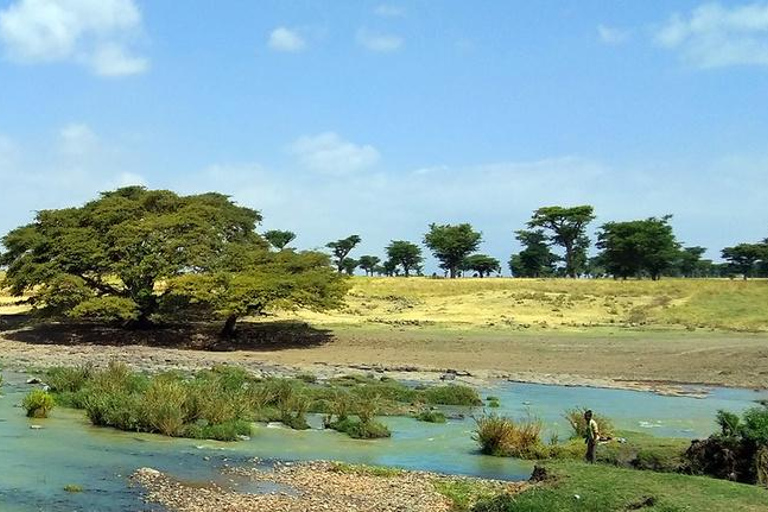 Melka Kunture Archaeological Tour & Coffee