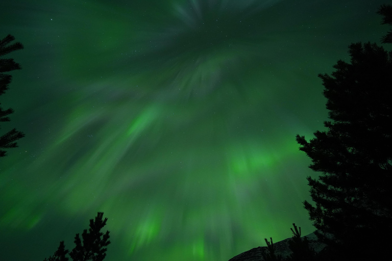 Tromsø: Northern Lights Tour – Unlimited Chase & Free Photos 6-8 Hours, Aurora chase, Comfortable bus, Photos included
