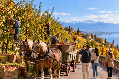 Geneva: Swiss Autumn Beauty Lausanne & Lavaux Private Tour
