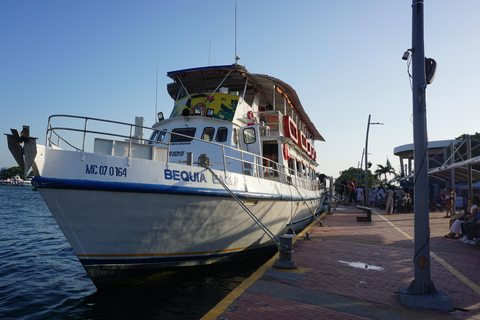 Carthagène : excursion en bateau de nuit avec dîner et open barCARTAGENA : Excursion en bateau de nuit blanche avec dîner et open bar