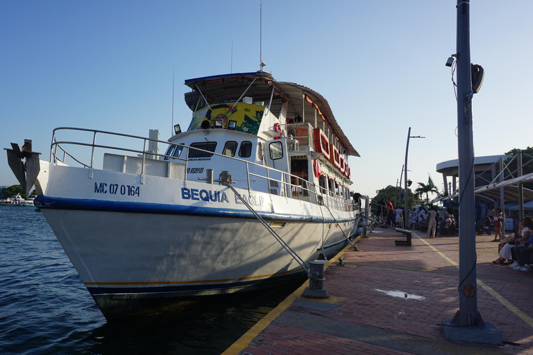 Carthagène : excursion en bateau de nuit avec dîner et open barCARTAGENA : Excursion en bateau de nuit blanche avec dîner et open bar