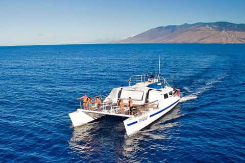 Maui: Molokini and Turtle Town Snorkel with Deli Lunch