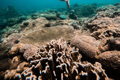 Nusa Penida: Snorkeling 3 Spots with GoPro & West Land Tour Snorkeling 3 Spots with West Land Tour - Meet at Penida Port