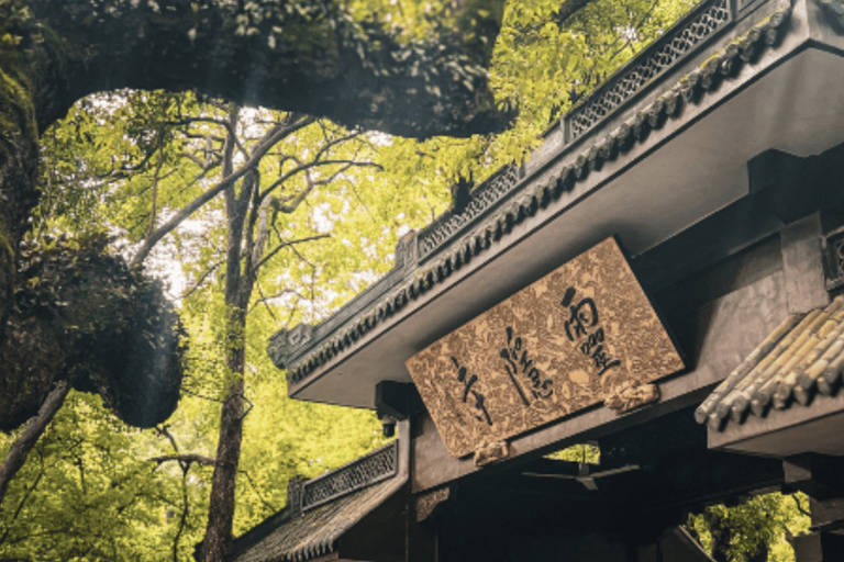 Hangzhou: West Lake Cruise, Lingyin Temple, & Tea Day Tour Hangzhou Tour of the City’s Top Sights - No Lunch