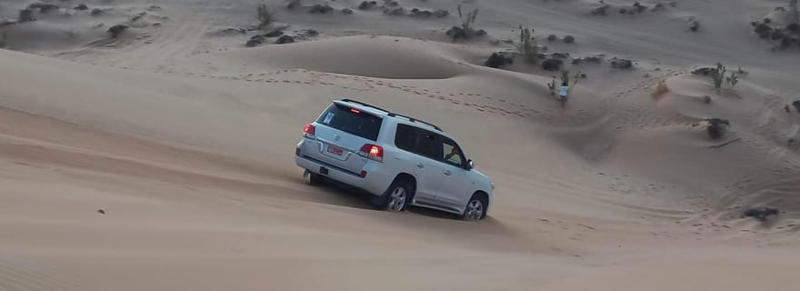 Aventure en 4x4 dans le désert : safari dans le quartier vide