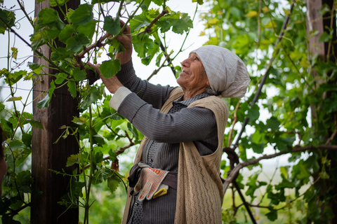 Yerevan: Wine Tasting and Vineyard Lunch at Voskeni Winery