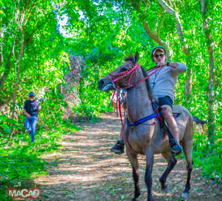 Shoppingtours in Punta Cana