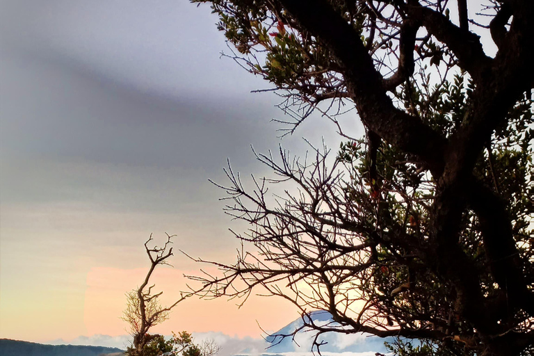 VON YOGYAKARTA 3D2N BROMO&amp;IJEN VULKAN