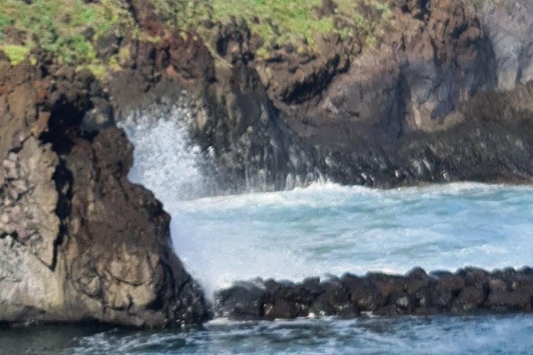 جولة يوم كامل في جزيرة ماديراجولة جزيرة ماديرا ليوم كامل