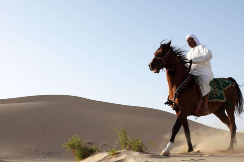 Doha Paardrijtour ervaring: Lokaal Majlis bezoek