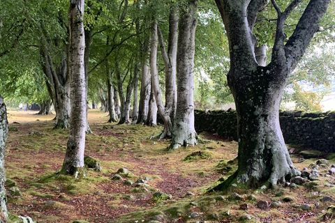 Invergordon Shore Tour: Loch Ness, Distillery and Castles