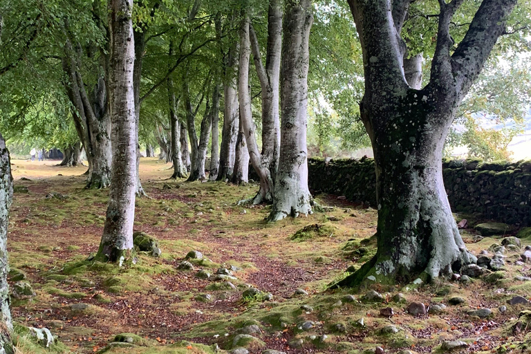 Invergordon Shore Tour: Loch Ness, Distillery and Castles