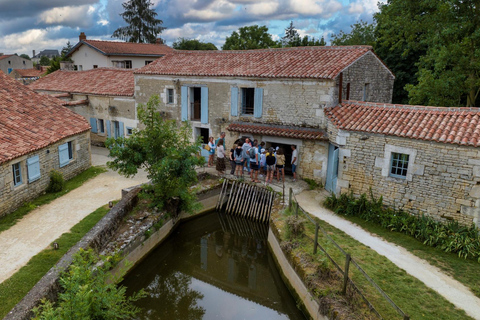 La Rochelle: Marais Poitevin Private geführte Tour mit dem Auto