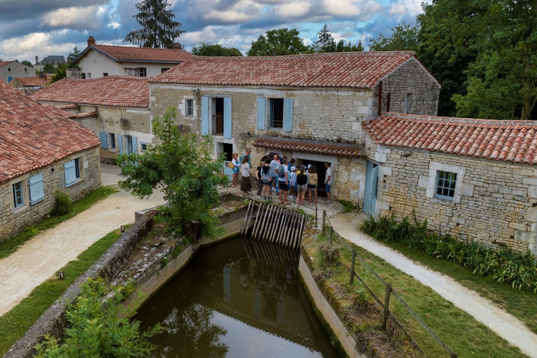 La Rochelle : Visite guidée privée du Marais Poitevin en voiture