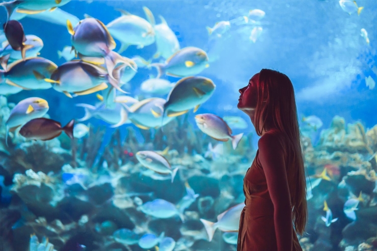 Orlando : aquarium Sea Life