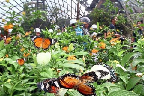 Zanzibar: Salaam Cave,Butterfly Center & Mtende beach Tour with Hotel Pick up and Drop off Anywhere in Zanzibar