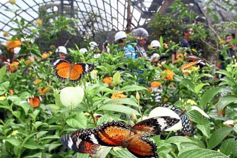 Zanzibar: Salaam Cave,Butterfly Center & Mtende beach Tour with Hotel Pick up and Drop off Anywhere in Zanzibar