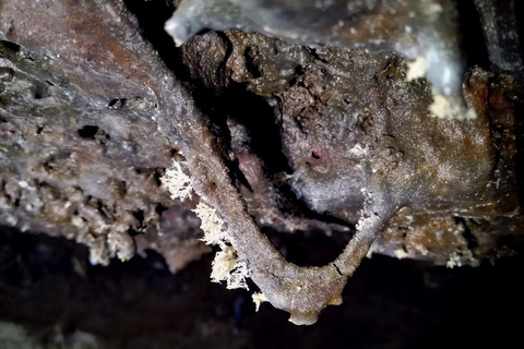 Vulkanische speleologie Cueva de Las Palomas (ES-EN)